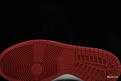 Air PKTLP002 x TRUMP Jordan 1 1107